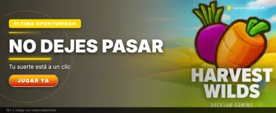 Dragon Hatch slot banners at Locosbet